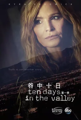 谷中十日Ten Days In the Valley(2017) | 本剧完结