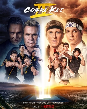 眼镜蛇Cobra Kai(2018) | 第5季完结