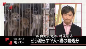 现代大特写 猫狗处死危机 对策安在クローズアップ現代＋どう減らす？犬・猫の殺処分 (2018) | 本剧完结