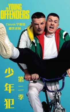 年少轻狂The Young Offenders(2018) | 第3季完结