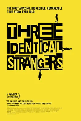 孪生陌生人Three Identical Strangers(2018)