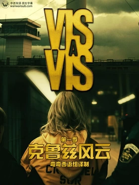 面对面Vis a vis(2015) | 第1季完结