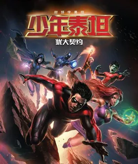 少年泰坦：犹大契约Teen Titans: The Judas Contract(2017)