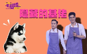 隐藏的基佬Cặp đôi tự hào mình là giới tính thứ(2018) | 单剧连载中