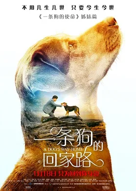 一条狗的回家路A Dog's Way Home(2019)