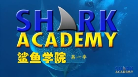 鲨鱼学院Shark.Academy.(2015) | 本剧完结