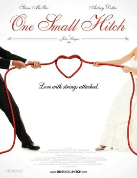 恰巧的爱情One Small Hitch(2015)