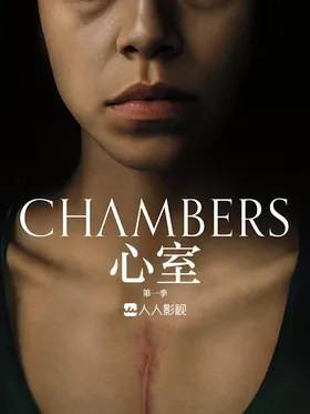 心室Chambers(2019) | 本剧完结