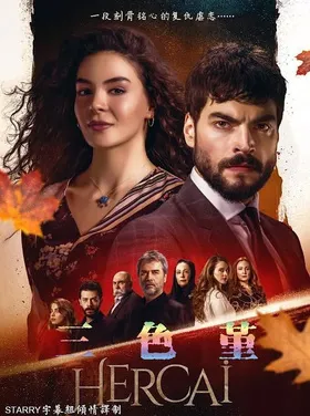 三色堇Hercai(2019) | 第2季连载中