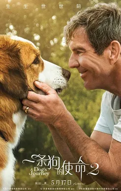 一条狗的使命2A Dog's Journey(2019)