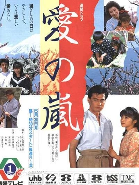 爱之岚愛の嵐(1986) | 本剧完结