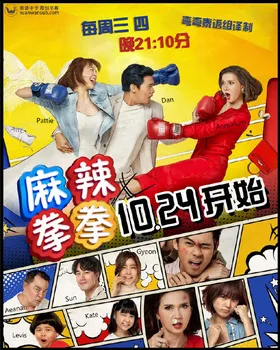 拳击儿媳สะใภ้TKO(2019) | 本剧完结