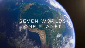 七个世界，一个星球Seven Worlds, One Planet(2019) | 本剧完结