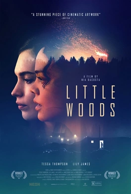 小森林Little Woods(2018)