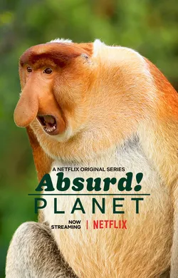 怪诞星球Absurd Planet(2020) | 第1季完结