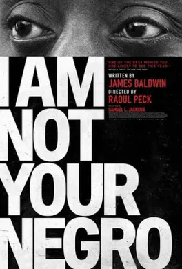 我不是你的黑鬼I Am Not Your Negro(2016) | 本剧完结