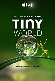 小小世界Tiny World(2020) | 第1季完结