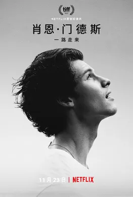 肖恩·门德斯：一路走来Shawn Mendes: In Wonder(2020)