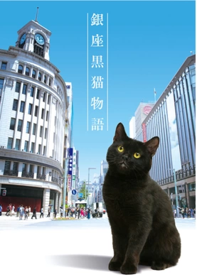 银座黑猫物语銀座黒猫物語(2020) | 单剧连载中