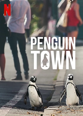 企鹅小镇Penguin Town(2021) | 第1季连载中