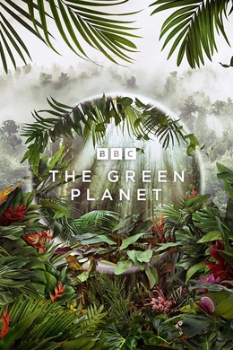 绿色星球The Green Planet(2022) | 第1季连载中