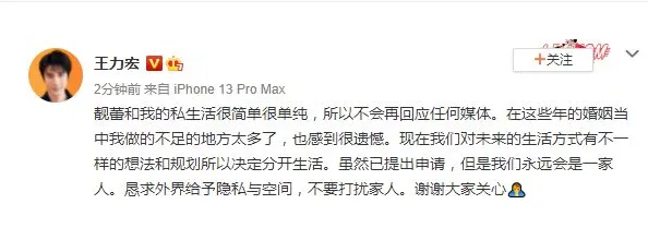 王力宏回应离婚 王力宏在内地有2家公司与老婆无商业关联