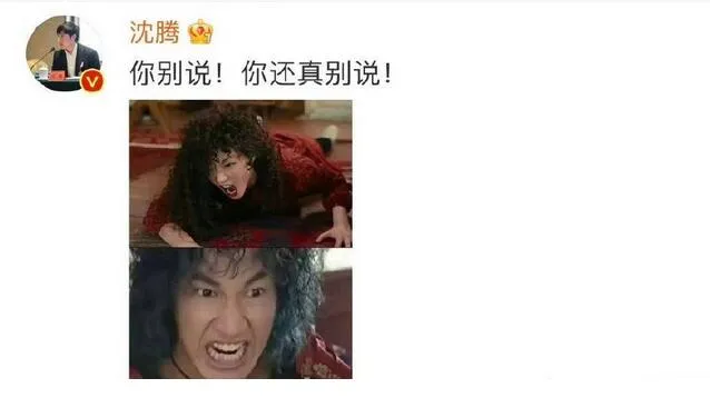 沈腾认证陶慧撞脸步惊云  评论区发步惊云表情包