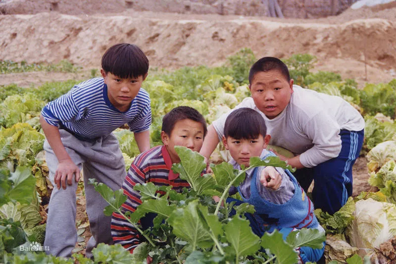 《水浒少年》22年：有人演大片成名，有人跑龙套被淡忘，差距太大