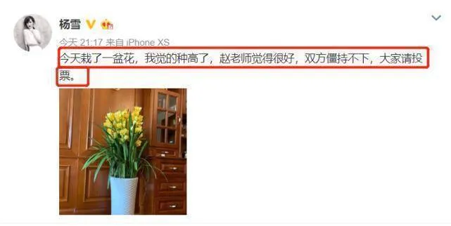 杨雪与丈夫共植盆栽却因高度起争执，发文让网友评理，豪宅一角尽显奢华