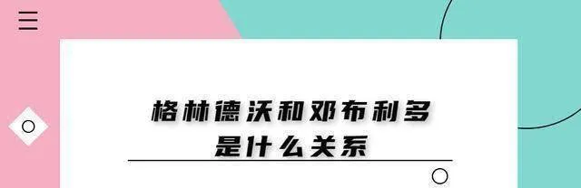 格林德沃和邓布利多是什么关系