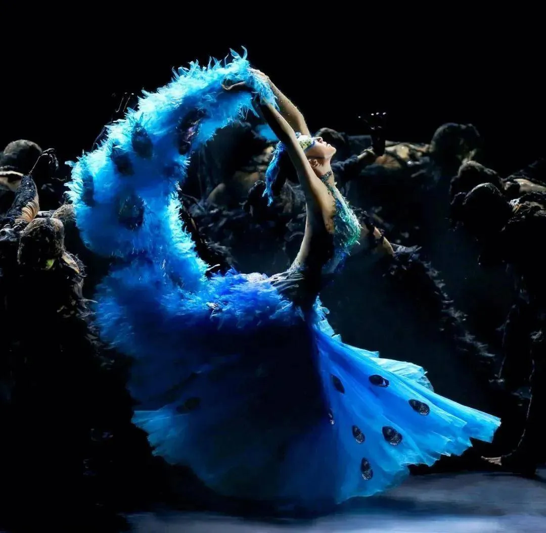 杨丽萍的孔雀舞，你怎么看？