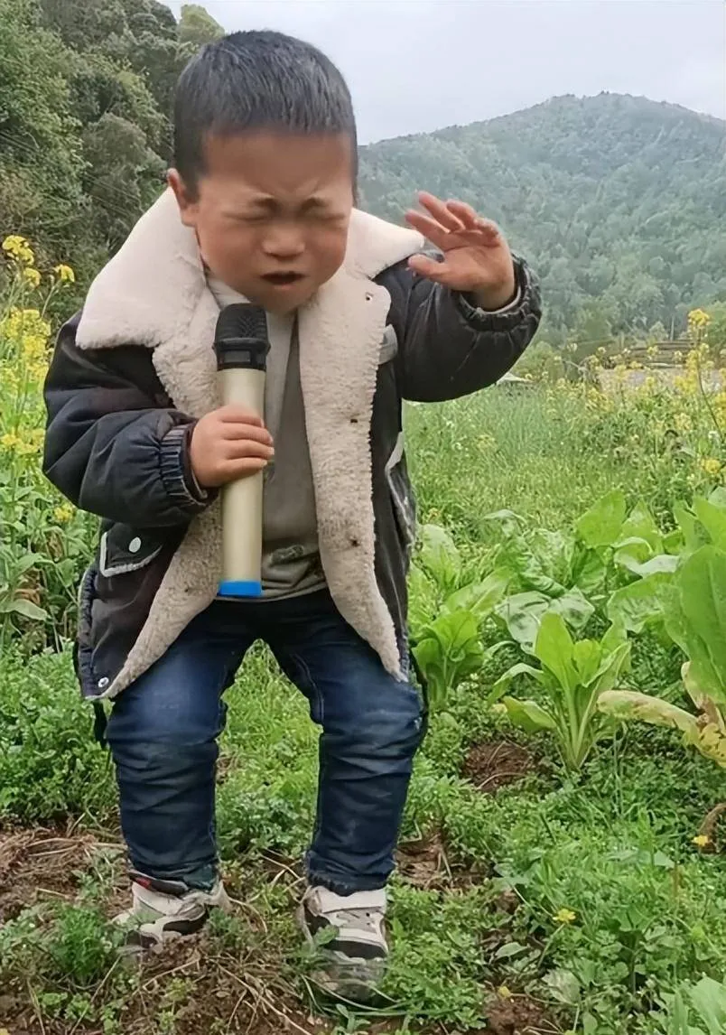 6岁农村萌娃激情演绎《孤勇者》,为生活唱赞歌，网友表示未来歌神