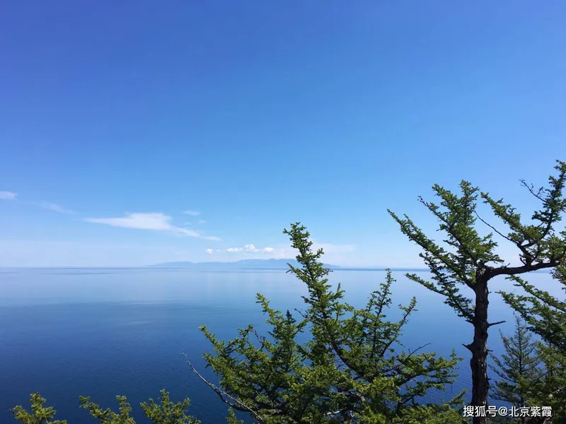 彼岸·花开 61.魏长泽猜到蓝湛和魏婴的关系