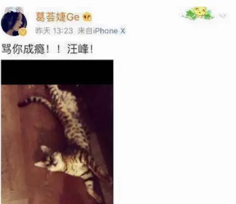 葛荟婕：18岁为汪峰生女，被分手后不能看女儿，只能网上说汪峰