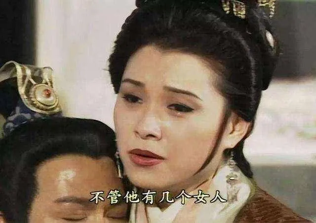 《天龙八部》里面段正淳到底有几个老婆、几个孩子？