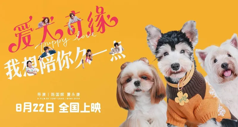 《爱犬奇缘》定档浪漫七夕 萌宠相伴欢乐不止