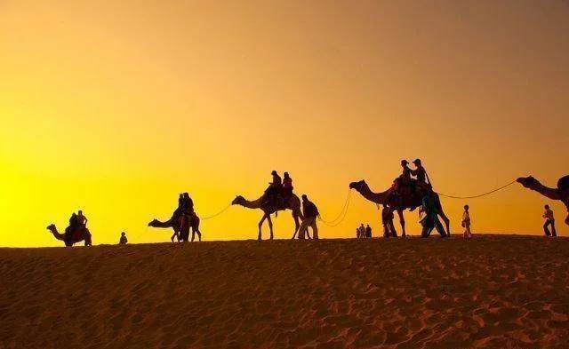 “沙漠骆驼”坐上过山车：一夕爆红之后，涉嫌抄袭跌下神坛！