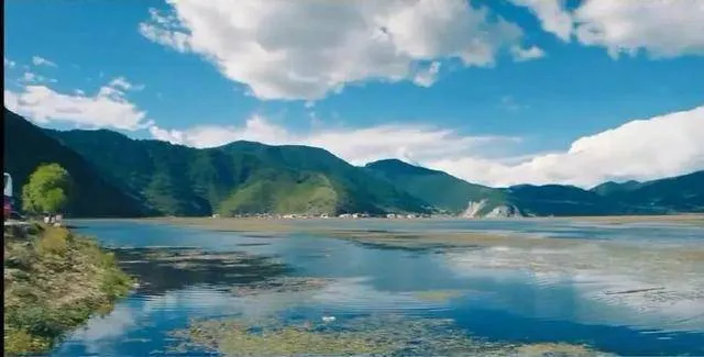 司藤是云南旅游宣传片吧，实地取景的镜头一出现就被惊艳了