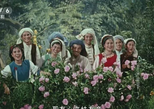 电影《五朵金花》故事，杨丽坤意外入选，阿鹏哥堪称顶级男神