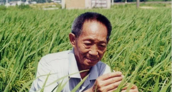 袁隆平之子回忆父亲：儿时很少见父亲，以为他是农民承包了很多地