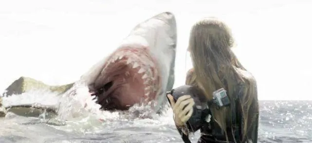 六部全球票房最高的鲨鱼电影：《深海狂鲨》第五，《大白鲨》第二