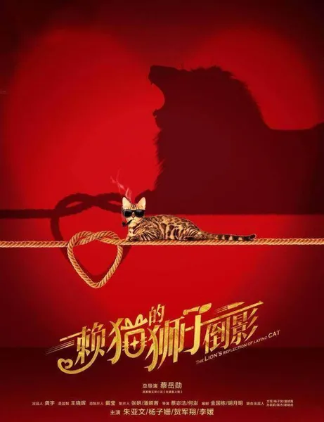 《赖猫的狮子倒影》朱亚文搭杨子姗，霸道女总裁爱上“无业游民”