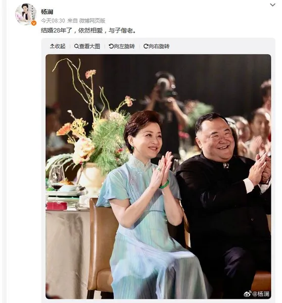 杨澜发文纪念与吴征结婚28周年：依然相爱 与子偕老