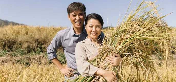 《山河锦绣》赵书和和谁在一起了