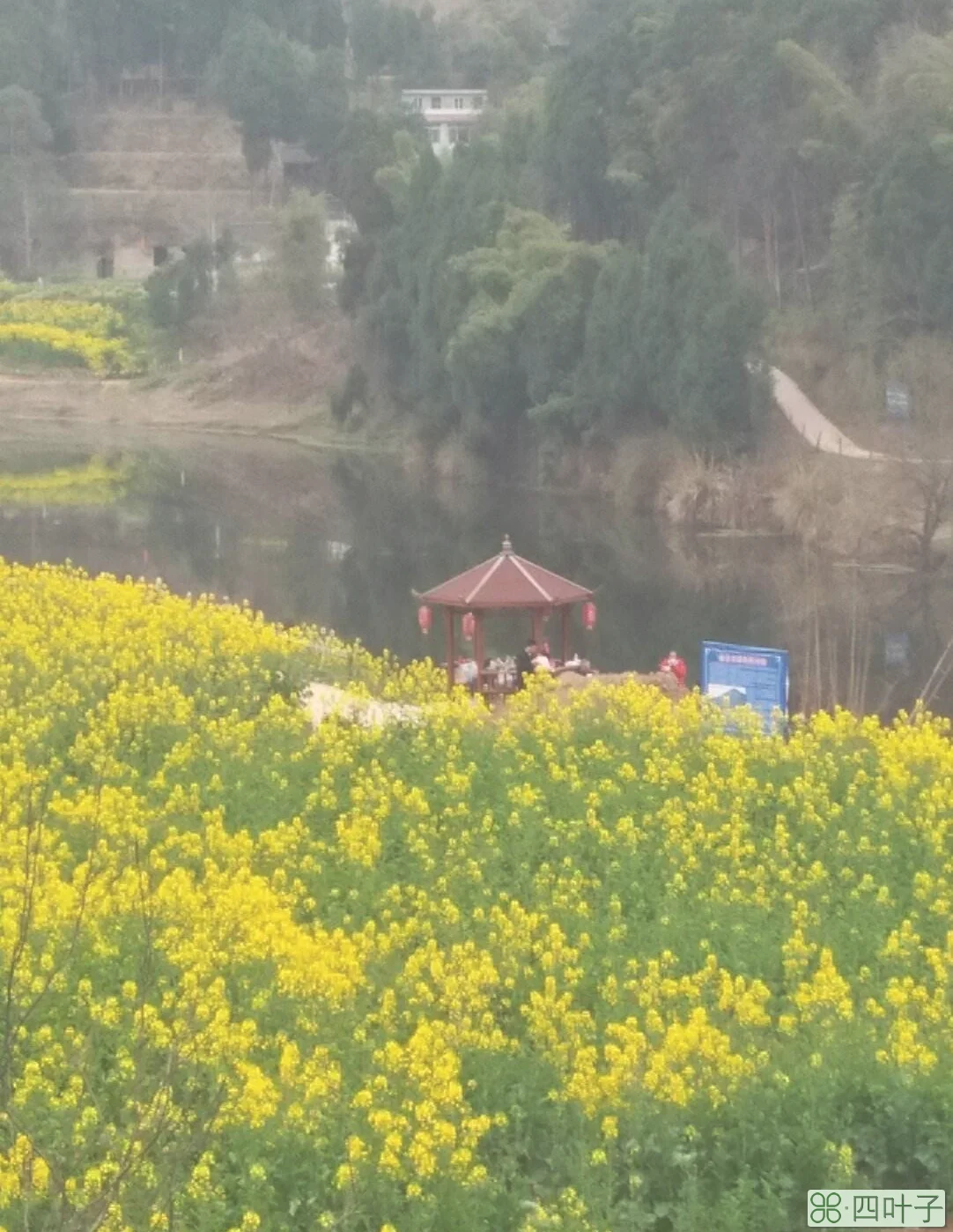 绵阳三台未来30天天气绵阳市三台县未来15天天气预报