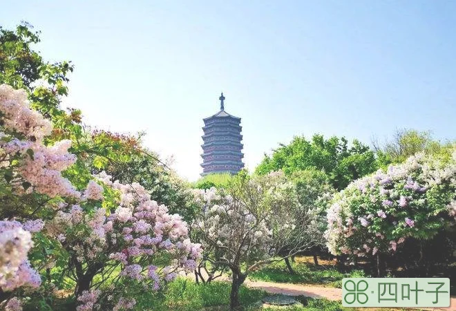 天气预报北京丰台区南苑大名天气