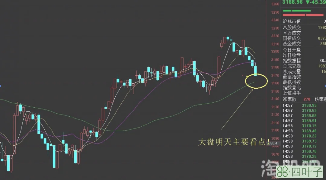 股票停盘的意思介绍(股票停盘是什么意思)