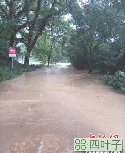 武夷山暴雨致景区暂时封闭 受惊猴子成“网红”