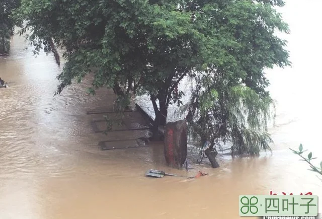 武夷山暴雨致景区暂时封闭 受惊猴子成“网红”