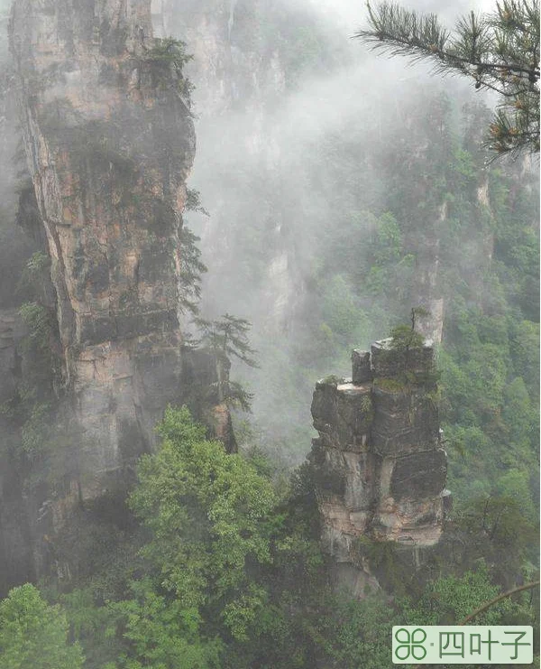 张家界天气预报张家界天气预报准吗